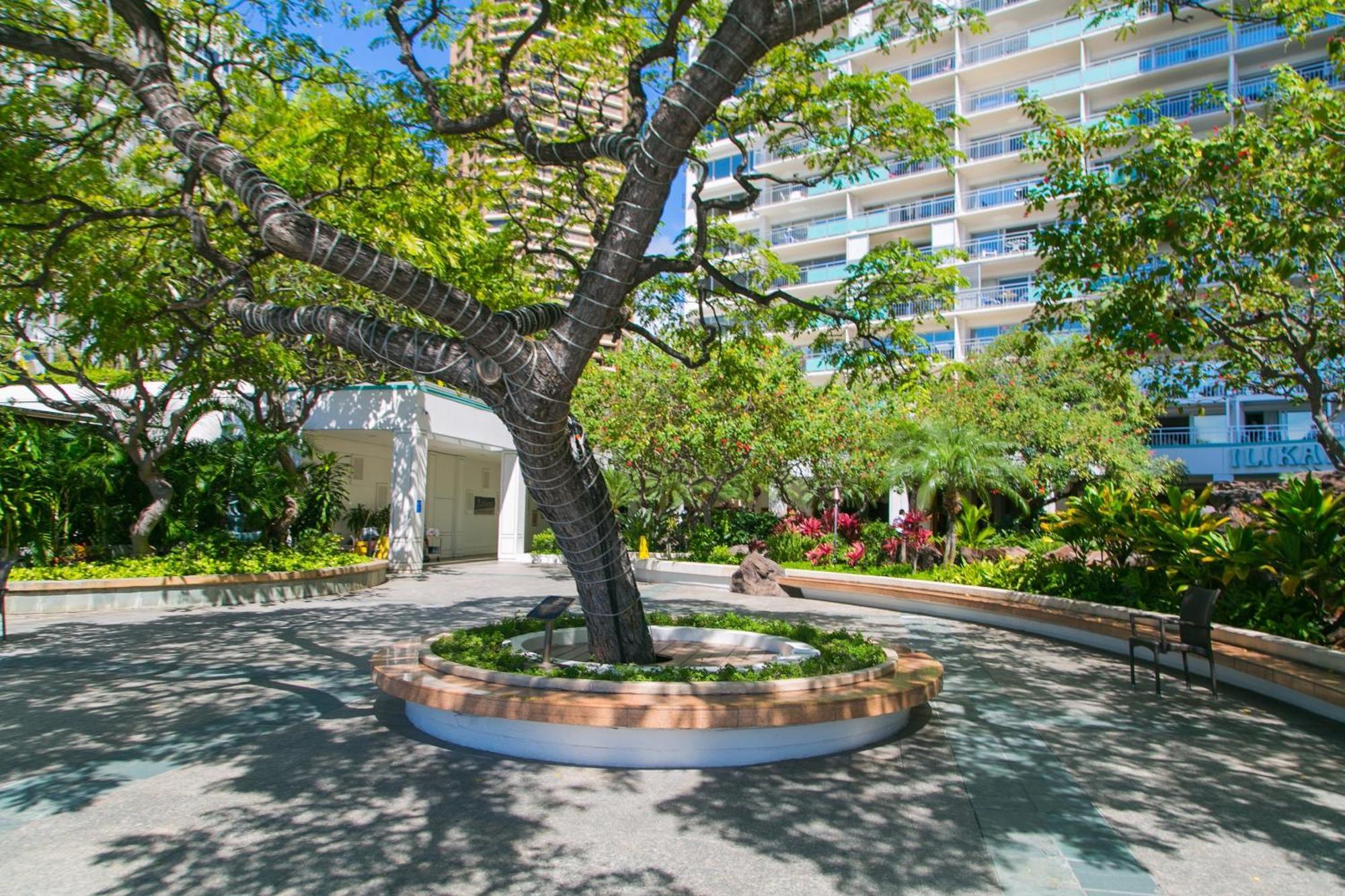 Ilikai Tower 936 Lagoon View 1Br Apartment Honolulu Exterior photo